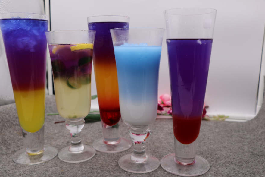 哈尔滨泰国蝶豆花培训